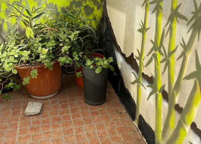 Full 3-room Downtown Casa Do Livro Boavista Apartment *